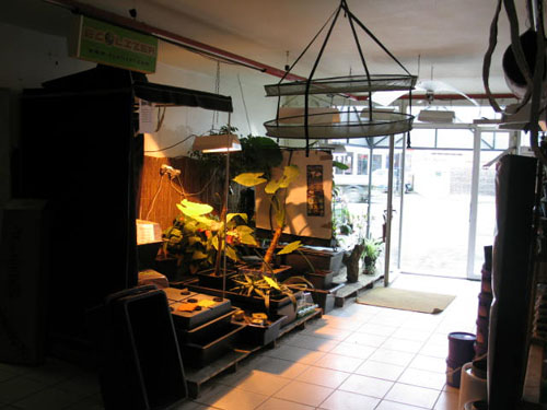 Boutique : Growshop - Avignon