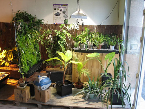 Boutique : Growshop - Avignon