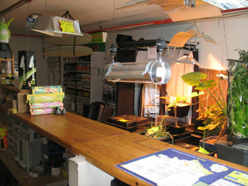 Boutique : Growshop - Avignon