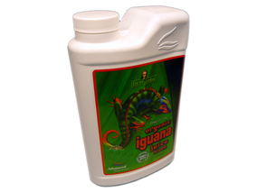 Advanced Nutrients:Advanced Nutrient Iguana Bloom - 1 L