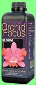 ORCHID FOCUS:Ionic - Orchid Focus Bloom - 1 L