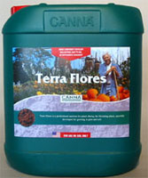 CANNA : Canna - Terra Flores - 5 L