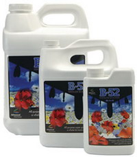 Advanced Nutrients:Advanced Nutrients B-52 - 1 L