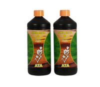 ATAMI - Bloombastic:Atami - ATA AWA Max A + B - Floraison - 1 L