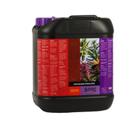 B'Cuzz:B'Cuzz - Bloom Stimateur Coco - 5 L