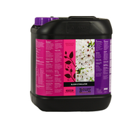 B'Cuzz:B'Cuzz - Bloom Stimateur - 5 L