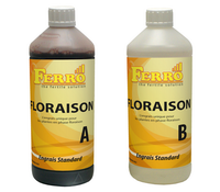 Ferro : Ferro - Bloom A + B - 2 x 1 L