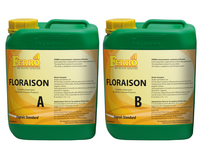 Ferro : Ferro - Bloom A + B - 2 x 20 L