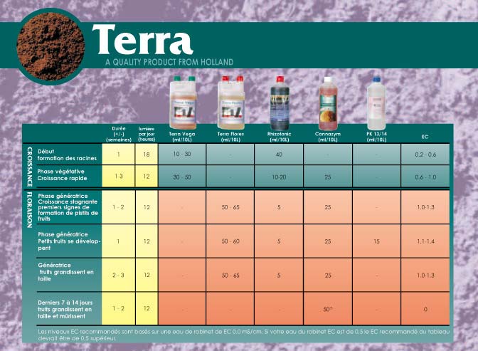 CANNA : Canna - Rhizotonic (Complexe Racinaire) - 1 L