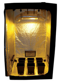 Tente Dark Room - Dark Street : Chambre de culture Dark Room DR2 90 - 90x90xh=180 cm