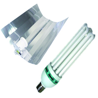 Kit Lampe Eco CFL - Envirolite:Kit Envirolite 125 W - Croissance