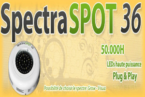 LED - FloraLED:LED - FLORALED - Spectra Spot 36 Grow