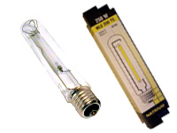 Ampoule HPS / MH:Ampoule HPS - 1000 W - Basic