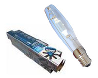 Ampoule HPS / MH:Ampoule MH - 1000 W - Basic