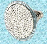 LED - FloraLED : LED - FLORALED - Clona Bulb 168