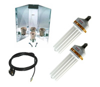 Kit Lampe Eco CFL - Envirolite:Kit Envirolite 2x125 W - Croissance et Floraison
