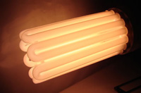 Ampoule Eco CFL - Envirolite - Eco-Sun : Ampoule Smart Light - 210 Watts - 2100 K