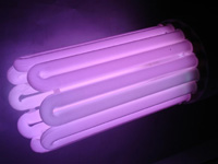 Ampoule Eco CFL - Envirolite - Eco-Sun : Ampoule CFL - Eco Sun 250 W - Purple - 25000 K