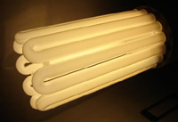 Ampoule Eco CFL - Envirolite - Eco-Sun : Ampoule CFL - Envirolite 200 Watts - Floraison - 2700 K