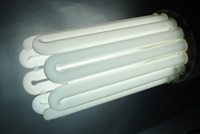 Ampoule Eco CFL - Envirolite - Eco-Sun : Ampoule CFL - Envirolite 250 Watts - Croissance - 6400 K