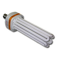 Ampoule Eco CFL - Envirolite - Eco-Sun:Ampoule CFL - Envirolite 200 Watts - Croissance - 6400 K