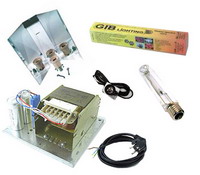 Kit Lampe HPS / MH - Standard:Kit Lampe DUO ETI MH / HPS - Classe 1 - 1000 W - Ampoule HPS - Basic