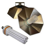 Kit Lampe Eco CFL - Envirolite:Kit Envirolite Silverstar 200 W - Floraison