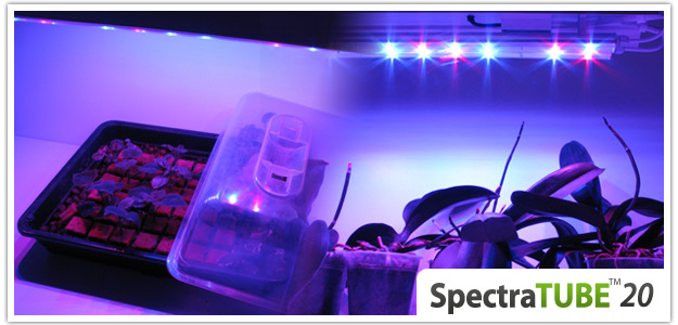 LED - FloraLED:LED - FLORALED - Spectra Tube 20 Grow